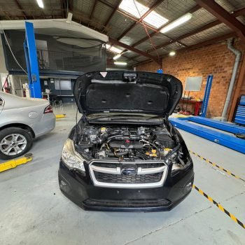 WhatsApp Image 2026-02-09 at 5.14.55 PM