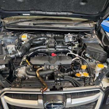 WhatsApp Image 2026-02-09 at 5.14.56 PM (1)