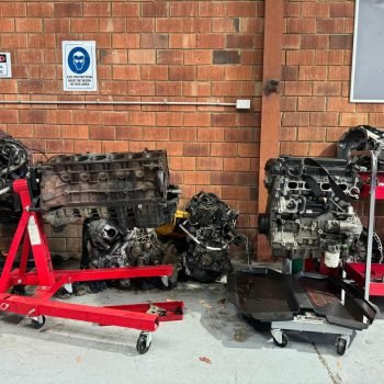 WhatsApp Image 2026-02-09 at 5.14.59 PM